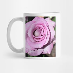 Purple Rose Bloom Mug